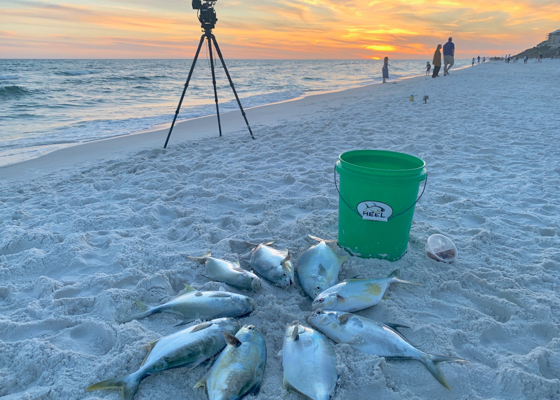 Rent fishing rods Panama city beach